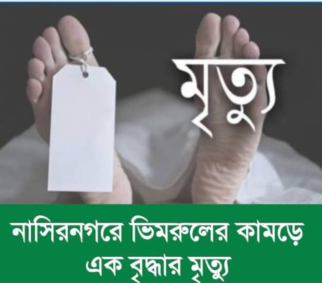 ব্রাহ্মণবাড়িয়া নাসির নগরে ভিমরুলের কামড়ে এক বৃদ্ধার মৃত্যু