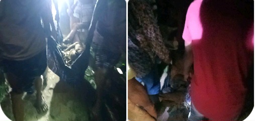 নালিতাবাড়ীতে বন্যহাতির আক্রমণে উমর মিস্ত্রির মৃত্যু