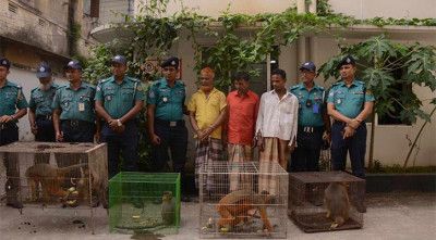 চট্টগ্রামে মুখপোড়া হনুমান’ পাচারের চেষ্টা, ৩ জন গ্রেপ্তার