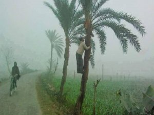 শৈত্য প্রবাহের গতিতে অশনি সংকেত