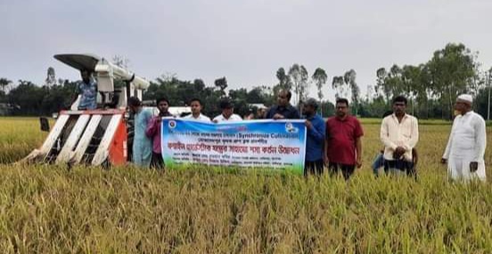 তাহিরপুরে সমলয় পদ্ধতিতে চাষাবাদকৃত ধান কর্তনের আনুষ্ঠানিক উদ্বোধন