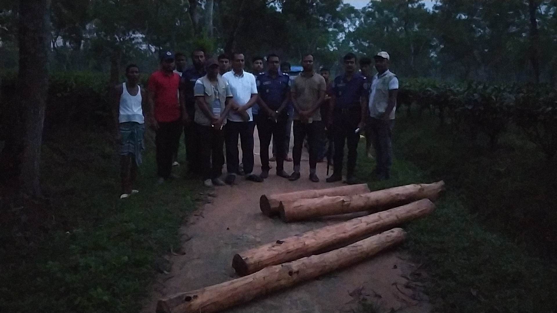সাতছড়ি থেকে সেগুন কাঠ পাচার হওয়ার সময় আটক করলেন পুলিশ সুপার মুরাদ আলী