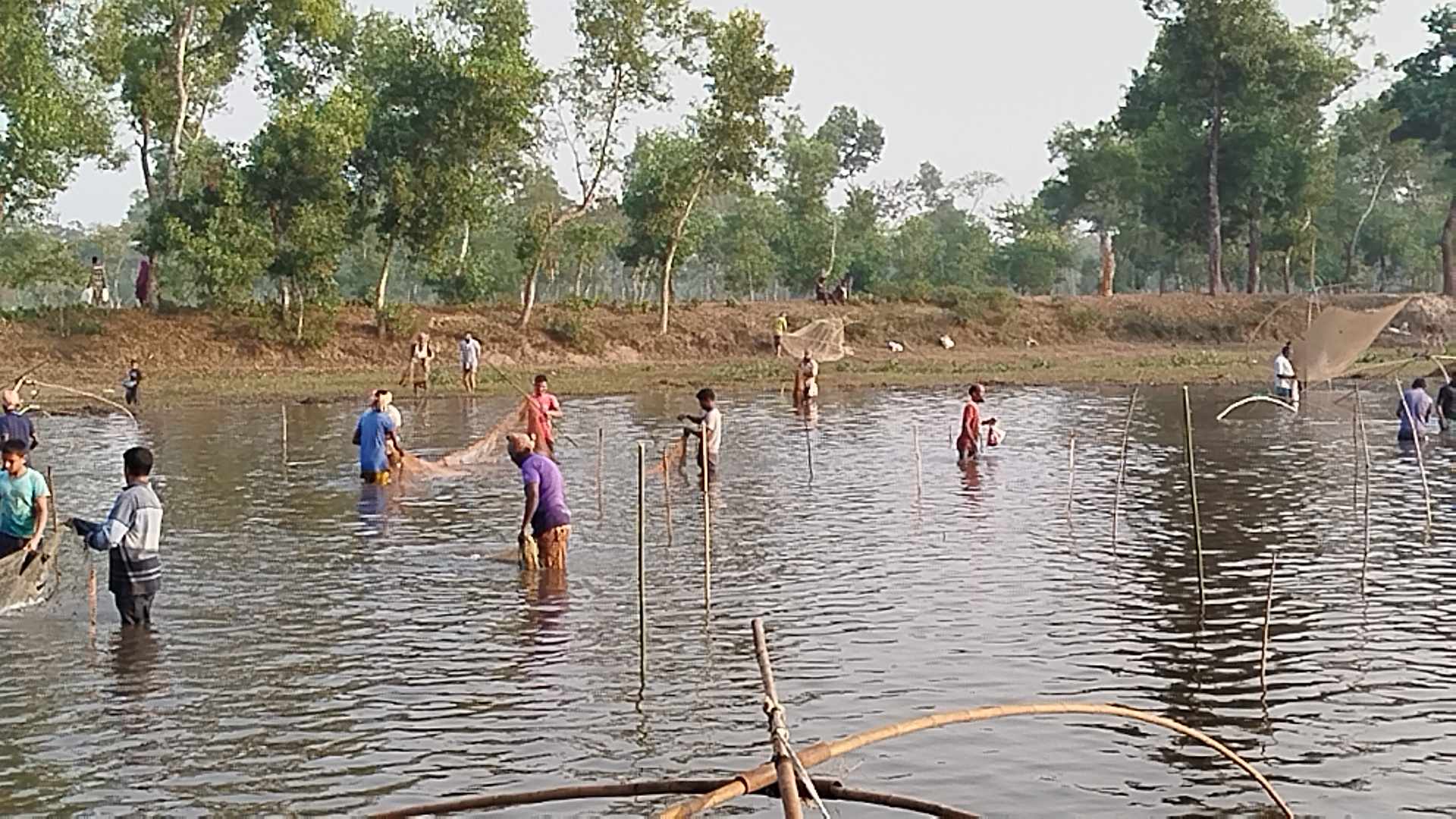 চুনারুঘাট চন্ডি চা বাগানে পরীবিলে মাছধরা উৎসব অনুষ্ঠিত হয়েছে