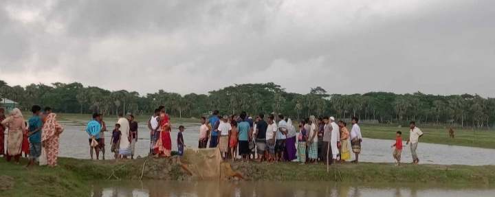 বরগুনার তালতলীতে জমি সংক্রান্ত বিরোধ ; মাছের ঘেরের বাঁধ কেটে দিল প্রতিপক্ষরা