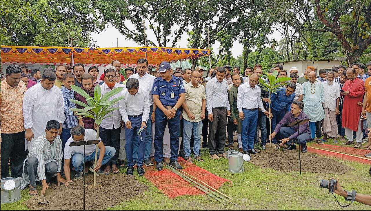 তেঁতুলিয়ায় বৃক্ষরোপণ কর্মসূচি শুরু পঞ্চগড় এক আসনে লাগানো হবে তিন লাখ চারা গাছ