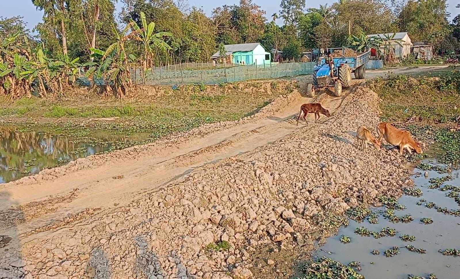নবীগঞ্জে ফসলি জমি খনন ও এরা বরাক নদীত বাঁধ দিয়ে মাটি বিক্রি! ইউএনও বলেছেন- ব্যবস্থা নেওয়া হবে