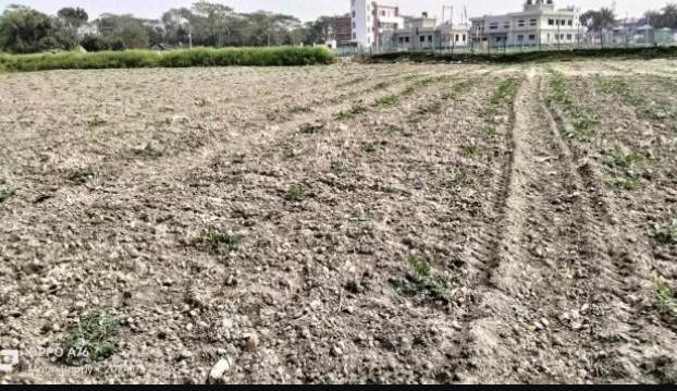 গলাচিপায় তরমুজ ক্ষেতের সাথে এ কেমন শত্রুতা