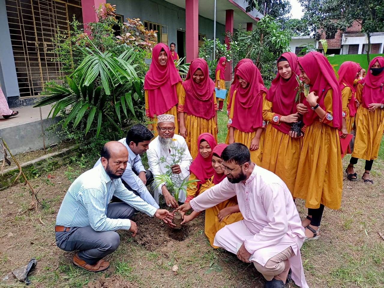 বুড়িচং ভরাসারে বৃক্ষ রোপন কর্মসূচি উদ্বোধন