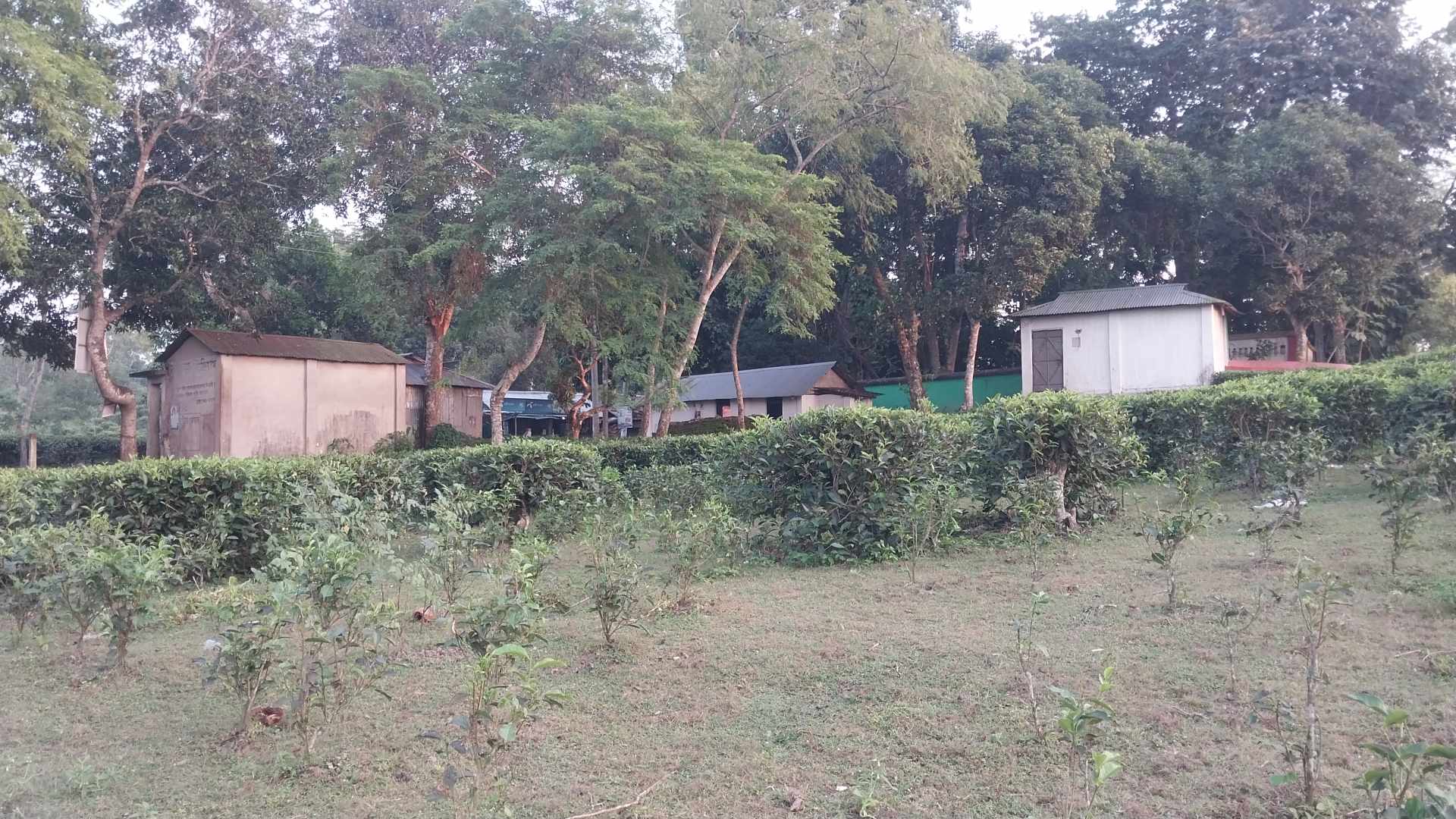 চন্ডীতে চা খাওয়ার নাম করে আড়ালে চলছে অসামাজিক কার্যকলাপ